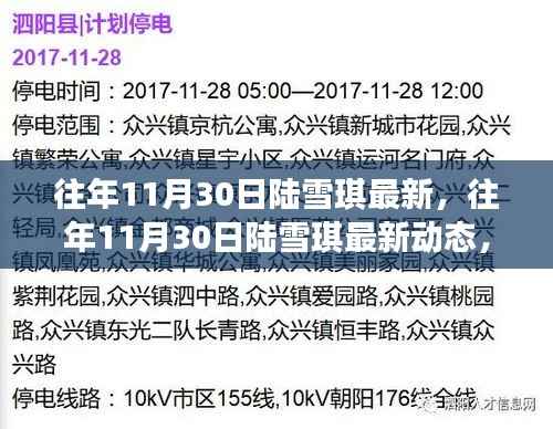 揭秘陆雪琪的成长与变迁,往年11月30日的最新动态回顾
