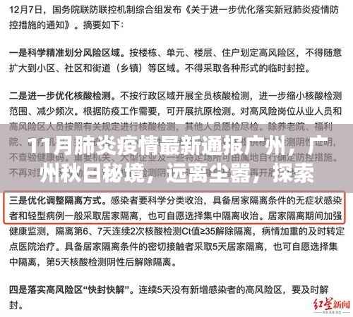 广州秋日秘境，疫情下的别样旅行之道，探索自然美景远离尘嚣的宁静之地