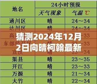 探寻向晴柯翰最新章节动态,预测未来,阳光下的新篇章——2024年12月2日展望与猜测