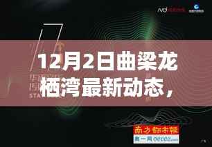 曲梁龙栖湾最新动态报道，探寻冬日新篇章（12月更新）