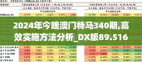 2024年今晚澳门特马340期,高效实施方法分析_DX版89.516-3
