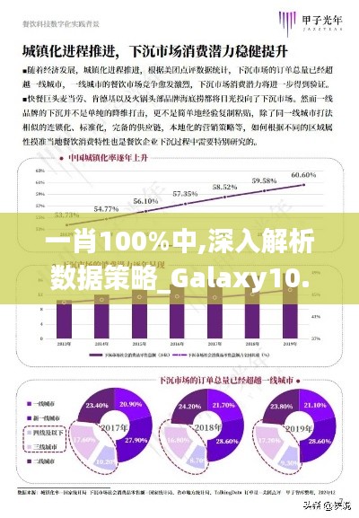 一肖100%中,深入解析数据策略_Galaxy10.327
