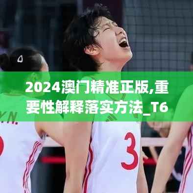 2024澳门精准正版,重要性解释落实方法_T6.840