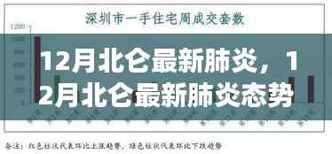 北仑地区十二月最新肺炎态势分析,多方观点与个人立场交织探讨