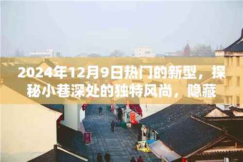 探秘小巷深处的独特风尚,隐藏在繁华背后的特色小店(2024年12月9日热门更新)