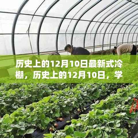 历史上的12月10日,最新式冷棚搭建详细指南