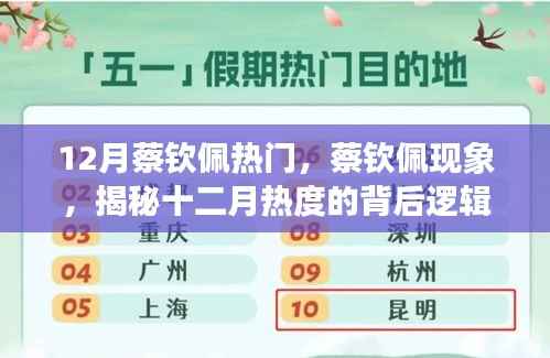 揭秘蔡钦佩现象,十二月热度的背后逻辑探究