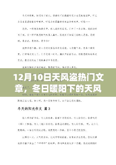冬日暖阳下的天风盗,友谊的温馨日常故事揭秘