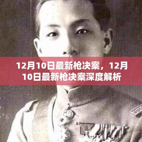 12月10日最新枪决案,深度解析与报道