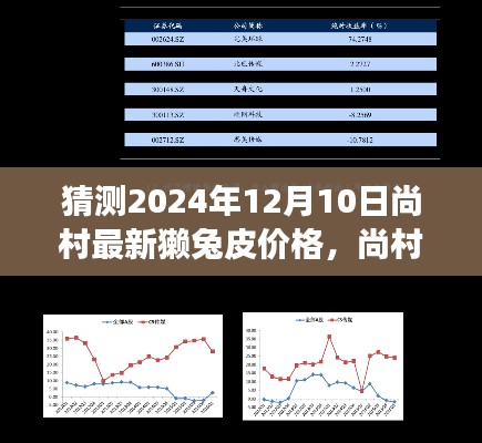 尚村獭兔皮市场未来走势预测,深度探寻价格变动与影响因素