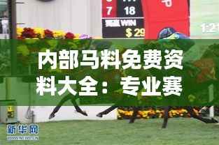 内部马料免费资料大全:专业赛马分析与预测