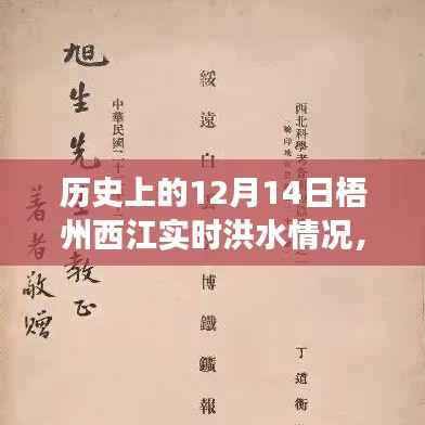 梧州西江洪水实录,探寻历史与自然的足迹,追寻洪水背后的故事