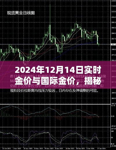 揭秘金价奥秘,深度解析2024年12月14日实时金价与国际金价走势。