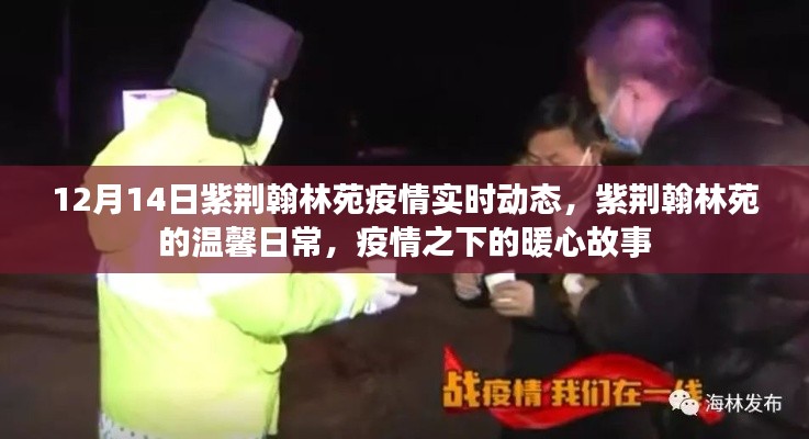 紫荆翰林苑疫情实时动态,疫情之下的温馨日常与暖心故事