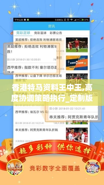 香港特马资料王中王,高度协调策略执行_定制版1.131