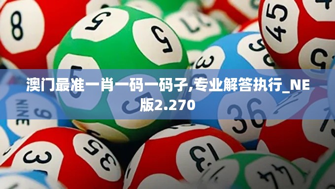 澳门最准一肖一码一码孑,专业解答执行_NE版2.270