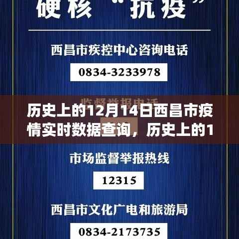 历史上的12月14日西昌市疫情数据回顾与实时查询洞察
