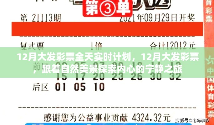 12月大发彩票探索之旅,与自然美景同行,寻找内心的宁静