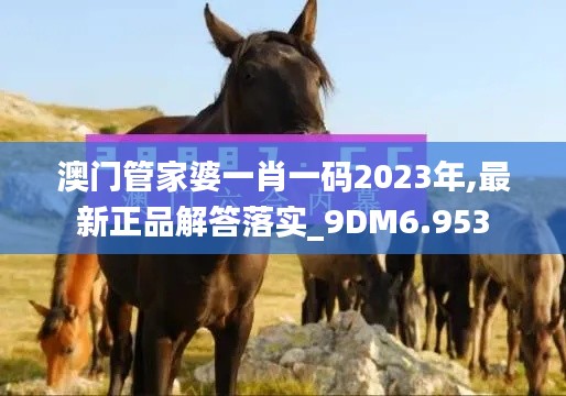 澳门管家婆一肖一码2023年,最新正品解答落实_9DM6.953