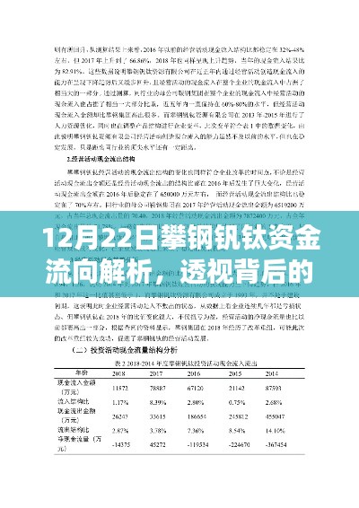 攀钢钒钛资金流向深度解析,动因背后的影响观察