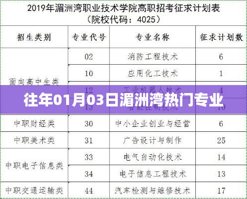 湄洲湾热门专业一览,历年招生热门之选