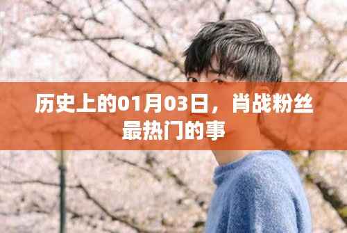 肖战粉丝一月三日热门事件回顾