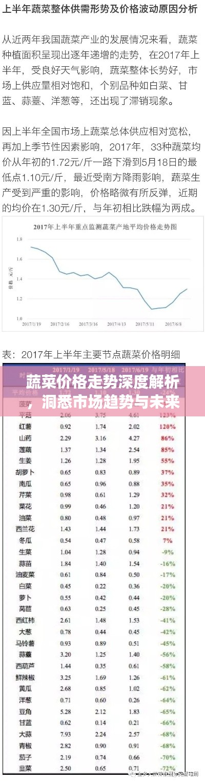 蔬菜价格走势深度解析,洞悉市场趋势与未来预测