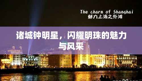 诸城钟明星,闪耀明珠的魅力与风采