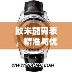 欧米茄男表,精准与优雅的极致融合,价格大揭秘!