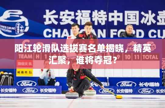 阳江轮滑队选拔赛名单揭晓,精英汇聚,谁将夺冠?