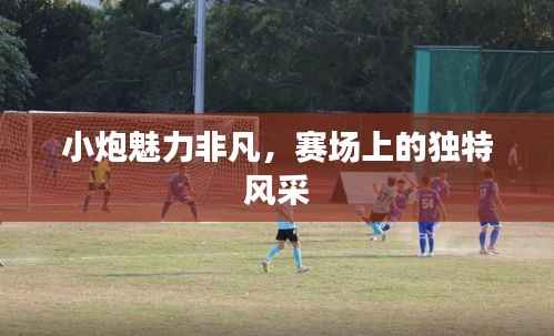 小炮魅力非凡,赛场上的独特风采
