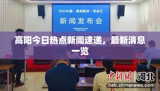 高阳今日热点新闻速递,最新消息一览