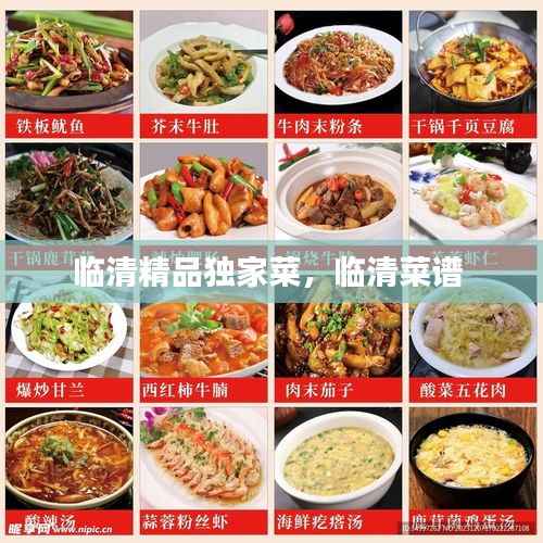 临清精品独家菜,临清菜谱