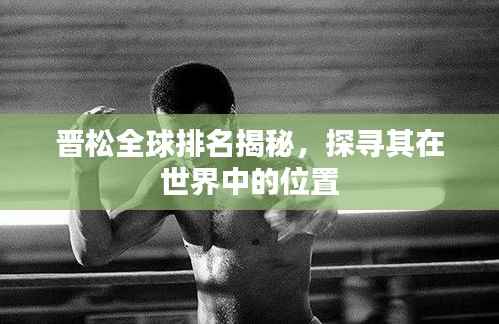 晋松全球排名揭秘,探寻其在世界中的位置