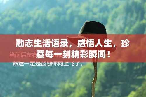 励志生活语录,感悟人生,珍藏每一刻精彩瞬间!