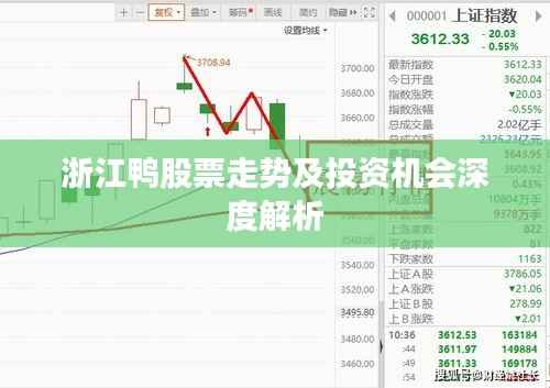 浙江鸭股票走势及投资机会深度解析