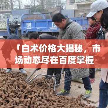 「白术价格大揭秘,市场动态尽在百度掌握」