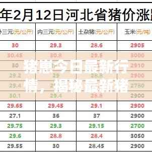 猪崽今日最新行情,揭秘最新猪价走势!