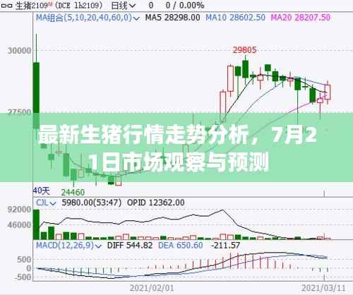 最新生猪行情走势分析,7月21日市场观察与预测