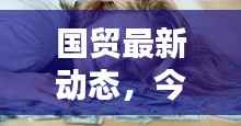 国贸最新动态,今日新闻头条消息速递
