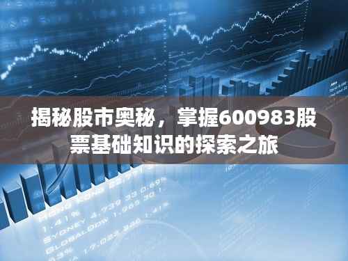 揭秘股市奥秘,掌握600983股票基础知识的探索之旅