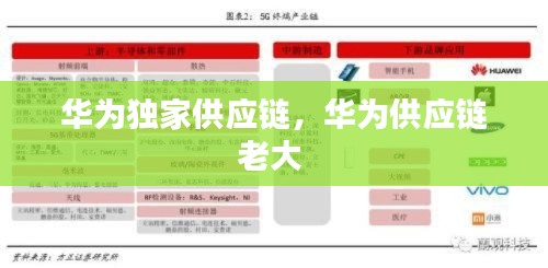 华为独家供应链,华为供应链老大