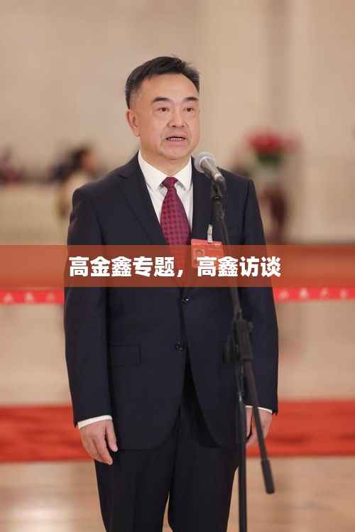 高金鑫专题,高鑫访谈