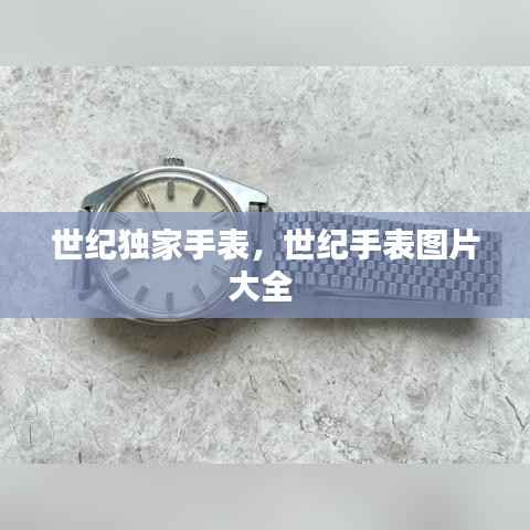 世纪独家手表,世纪手表图片大全