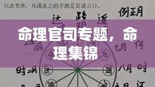 命理官司专题,命理集锦
