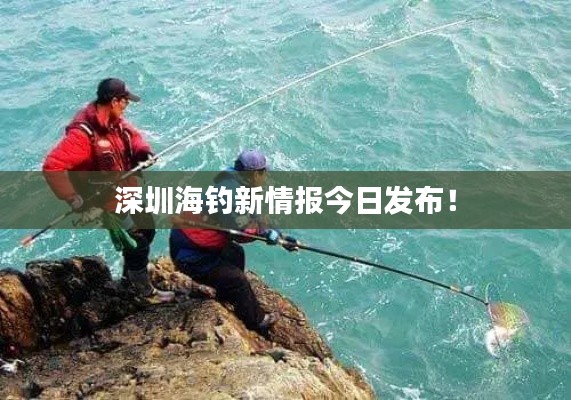 深圳海钓新情报今日发布!
