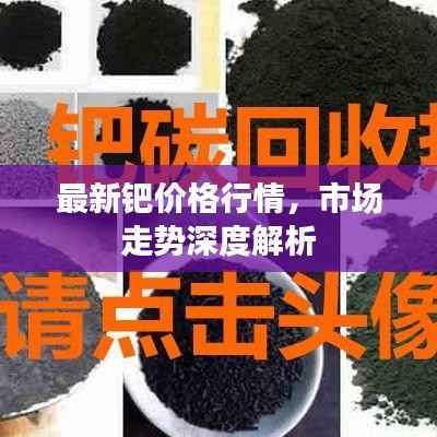 最新钯价格行情,市场走势深度解析