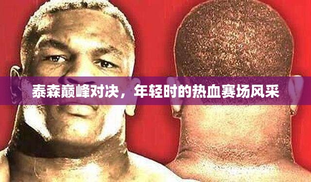 泰森巅峰对决,年轻时的热血赛场风采