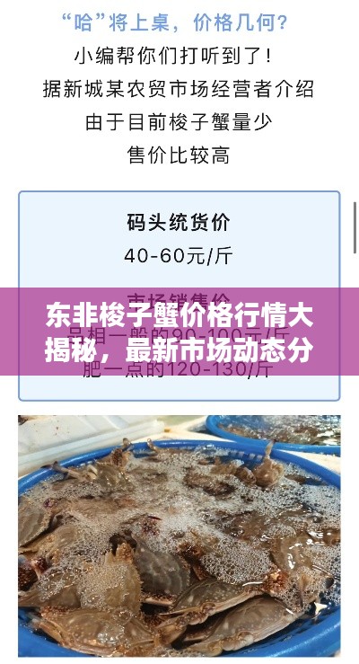 东非梭子蟹价格行情大揭秘,最新市场动态分析!