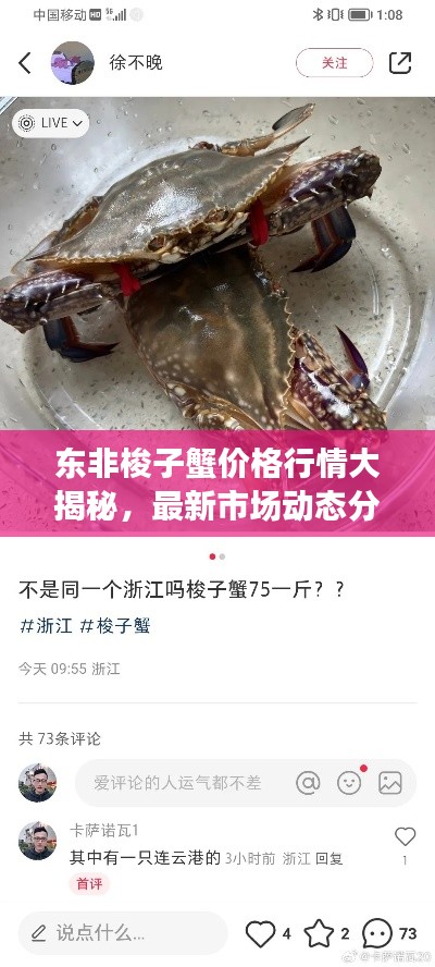 东非梭子蟹价格行情大揭秘,最新市场动态分析!